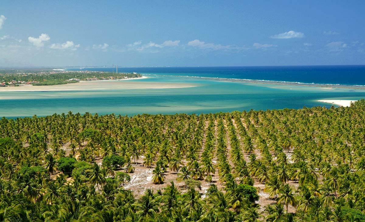 5 Melhores Praias de Alagoas Gunga