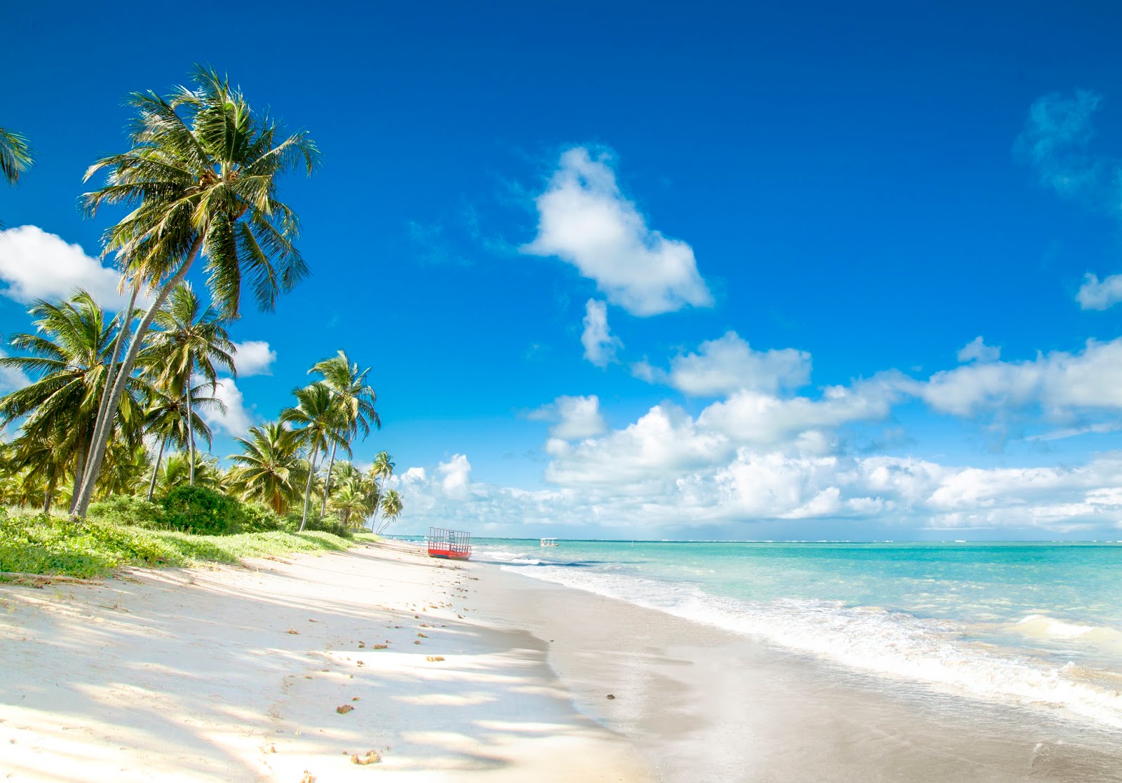 5 Melhores Praias de Alagoas Patachó